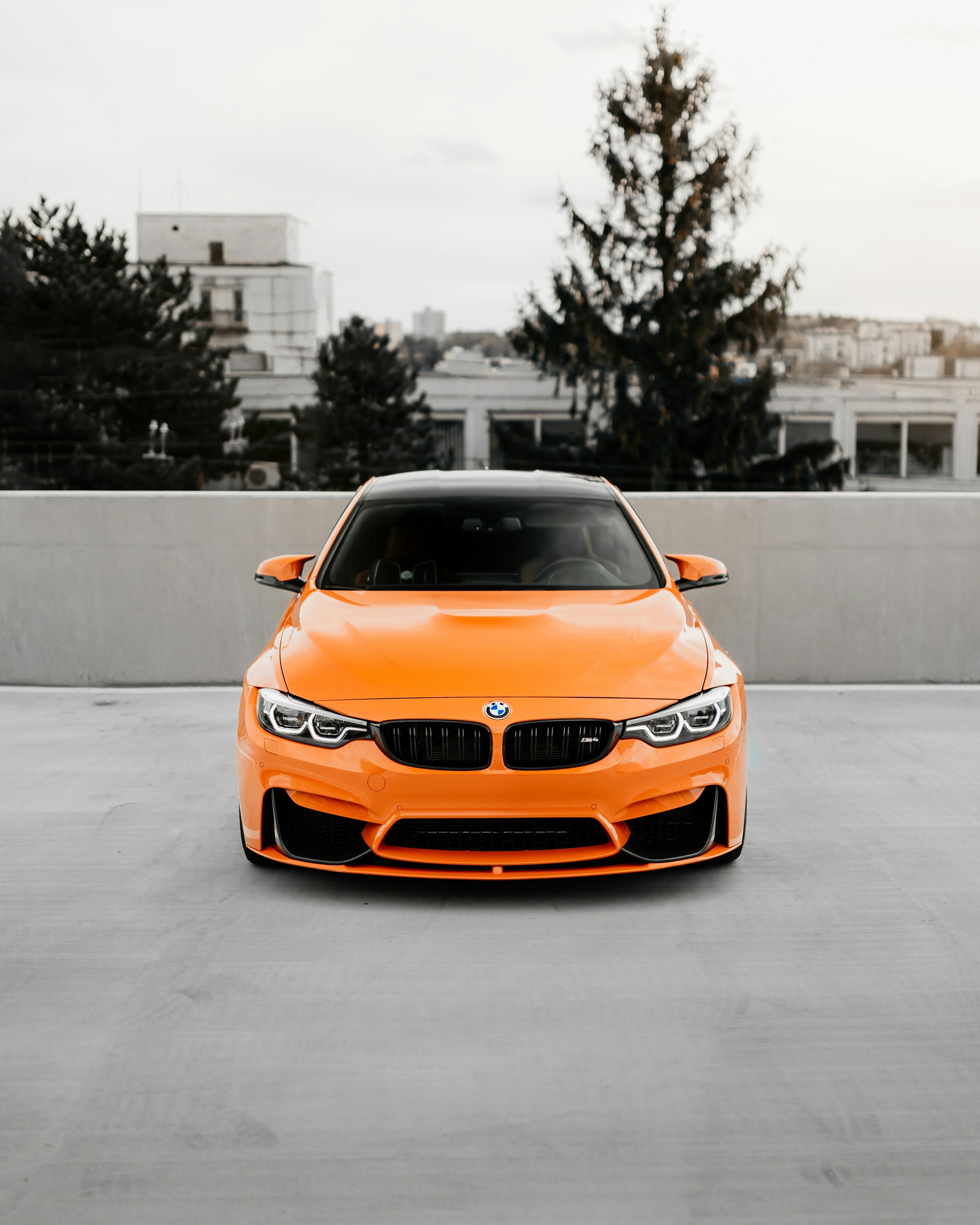 Orange Lamborghini Aventador parked on gray pavement